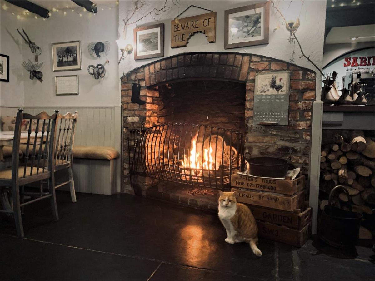 Molesworth Accommodation, Pyworthy, Devon Holsworthy Dış mekan fotoğraf