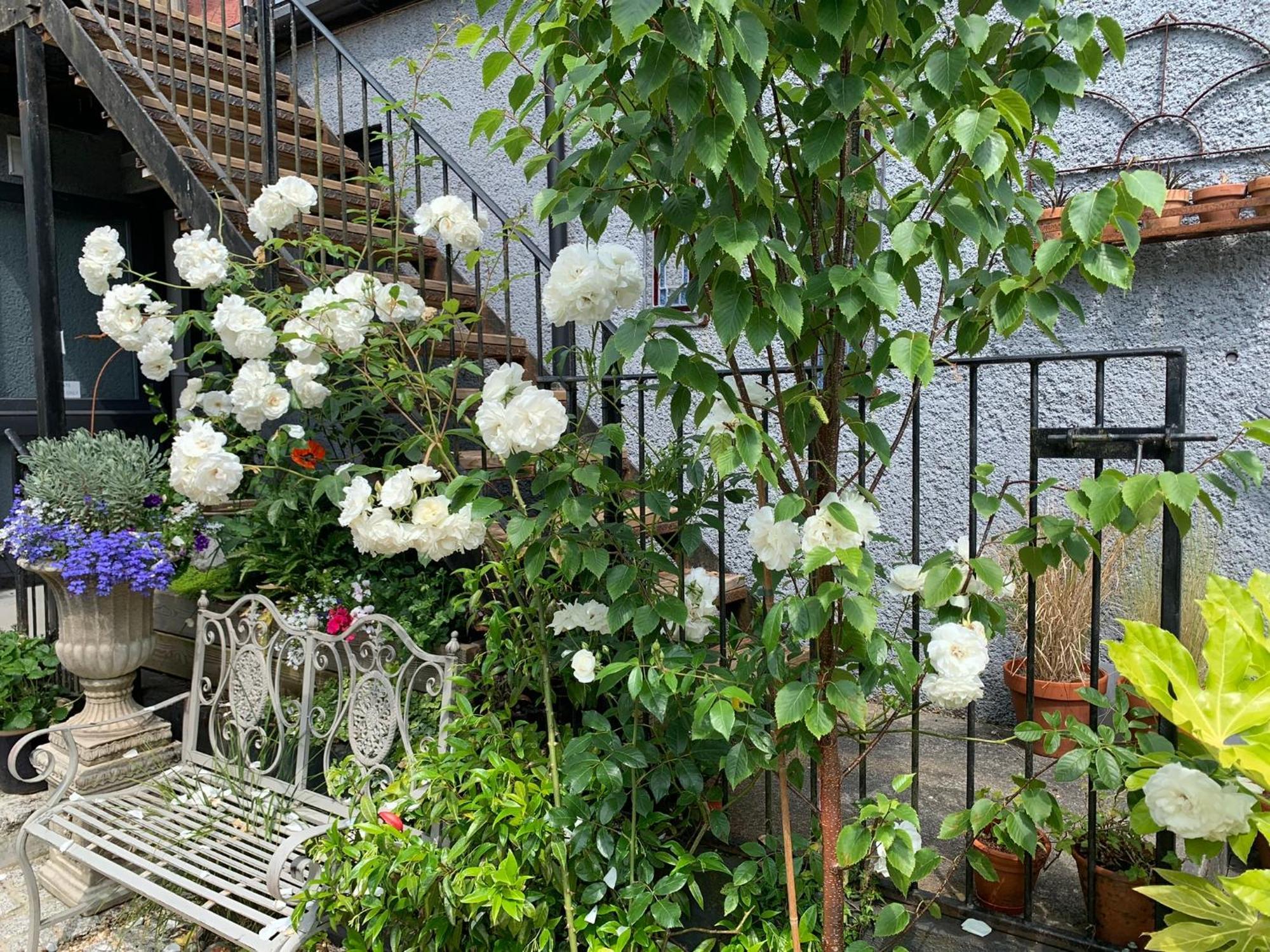 Molesworth Accommodation, Pyworthy, Devon Holsworthy Dış mekan fotoğraf