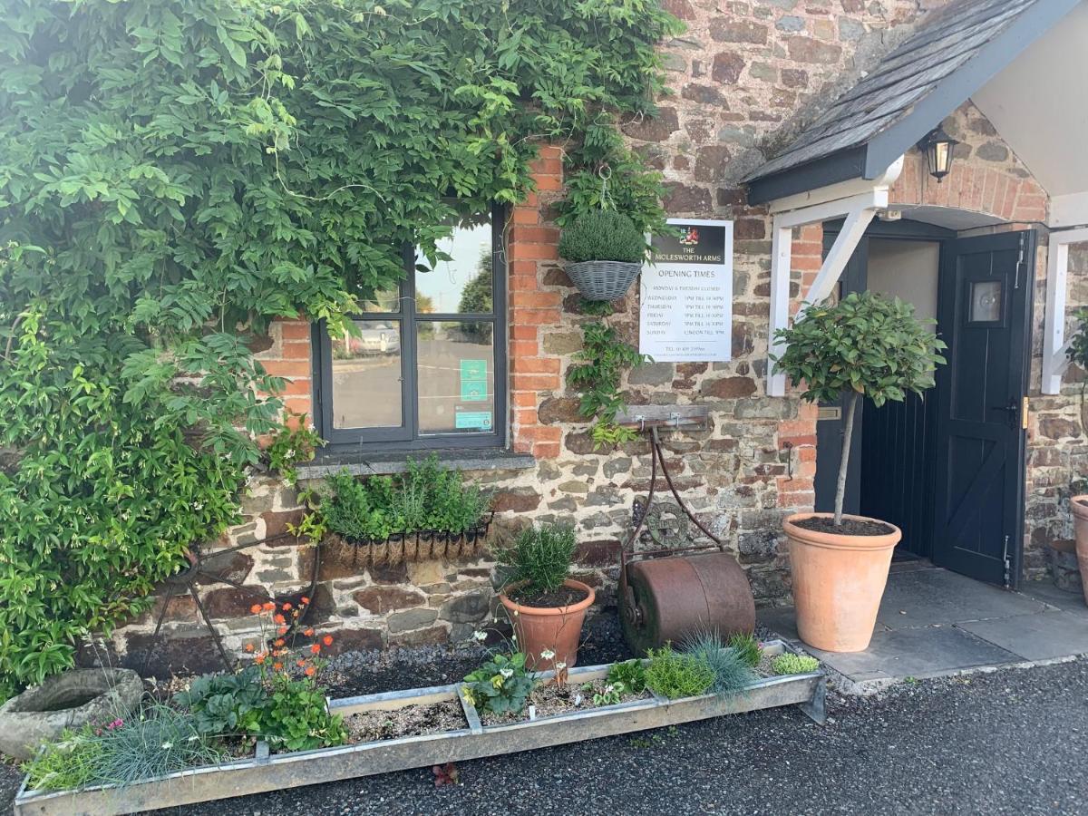 Molesworth Accommodation, Pyworthy, Devon Holsworthy Dış mekan fotoğraf